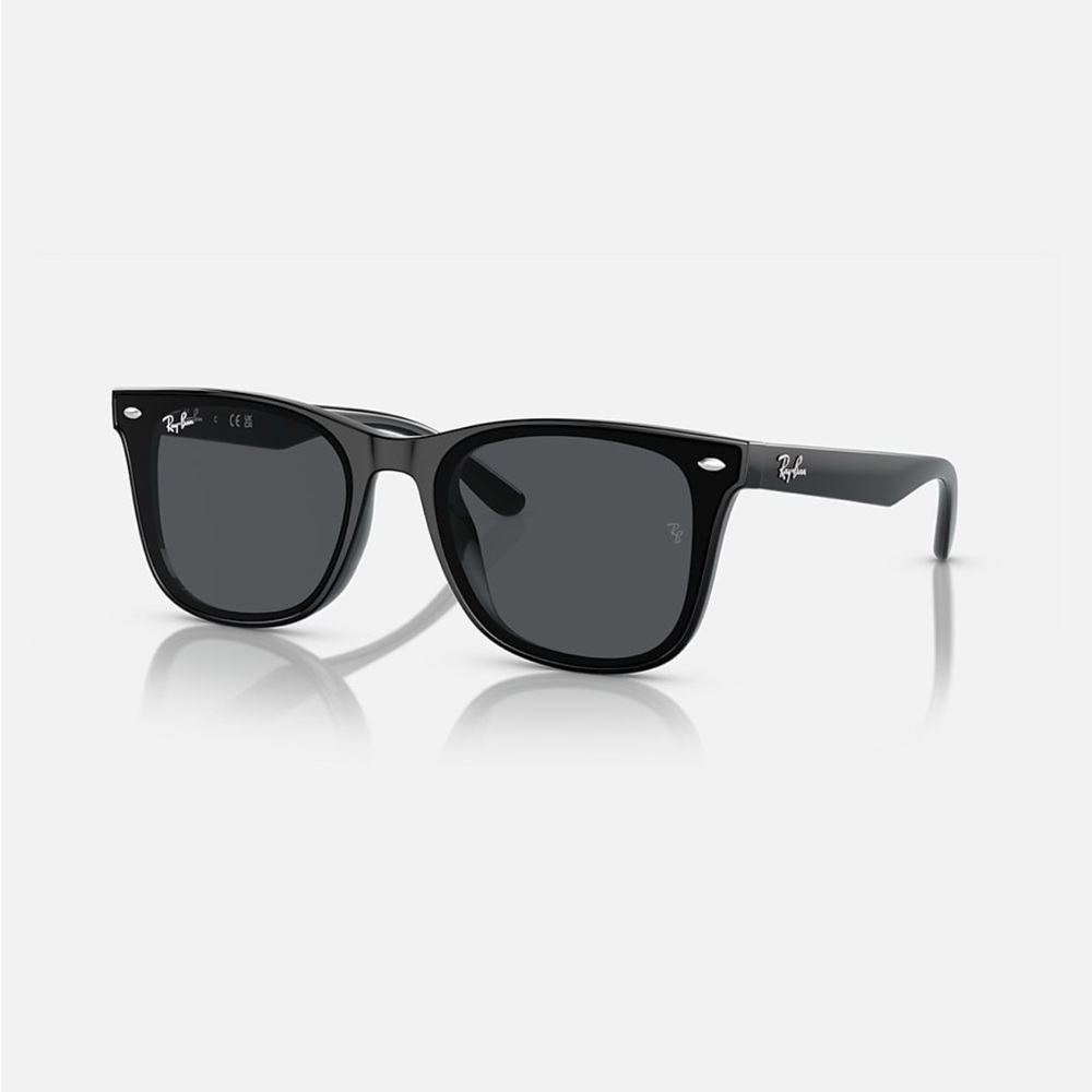 Ray-Ban Classic Black Sunglasses